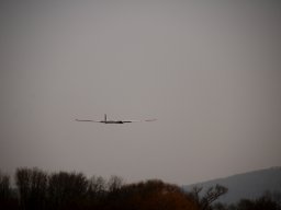 fliegen0903 59